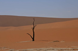 В Долине Смерти (пустыня Намиб) / работа с утренним светом в пустыне