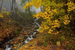 Осень / Осень в горах,Домбай
