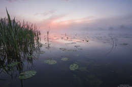 Гармония. / Московская область, город Дубна, Река Дубна.