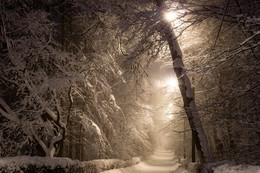 Сегодня в Москве снежно / Снежный вечер в Измайловском парке.