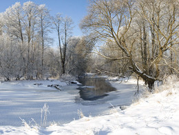 Вдоль зимней реки / Природа Беларуси