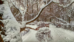Февраль. Сокольники. / Мобильная фотография.