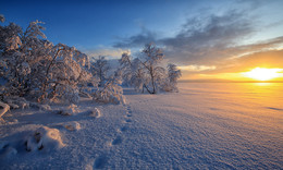 Северные краски / 49 км от Мурманска на Тириберку