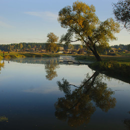 Утро / Ранняя осень