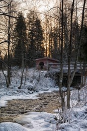 Не дождаться ... / Лес река