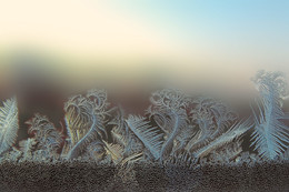 Про замёрзшее стекло и сказки... / Когда читал я сказки внучке у окошка,
мороз их проиллюстрировал немножко...)