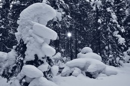 Снежные скульптуры / Снежные скульптуры в лесу снежные сугробы творение природы из снега.