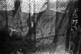  / пленка Ilford pan 100