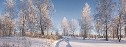 Зимний лес. / ***