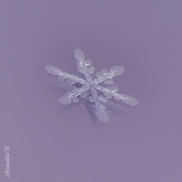 Снежинка, как кристалл / Снежинка на DVD-диске