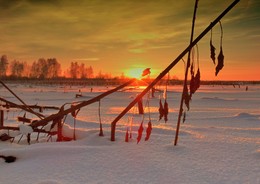Закат зимнего солнца / Закат зимнего солнца