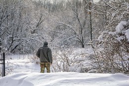 &nbsp; / В зимний лес...