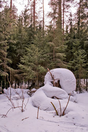 СНЕЖНЫЕ СУГРОБЫ В ЛЕСУ / ПОСЛЕДНИЙ МЕСЯЦ ЗИМЫ