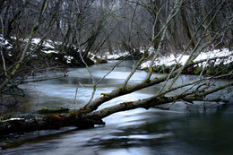 На реке / На реке