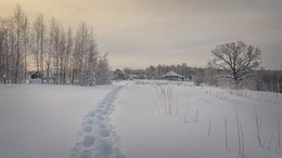 у деревни Ведево / Зима, утро после снегопада.
