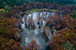 Селфи в красном / На съемках американских болот в Техасе. Дронофотография
