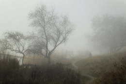 Попутчики / Туманное утро на берегу уснувшей реки