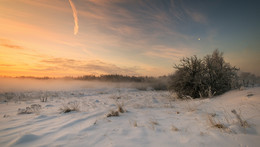 Раннее утро в феврале / Зимние туманы.