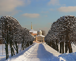 Аллея удивительных деревьев... / Зима в усадьбе Кусково...