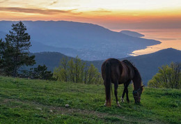 Ещё до рассвета / Крым, Ай-Петри
http://www.youtube.com/watch?v=JUJpuyTBIvs