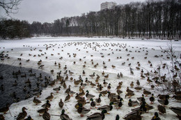 фестиваль НАШЕСТВИЕ / фестивалят)