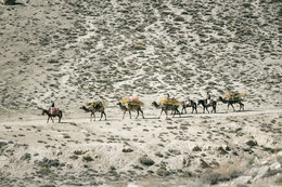 Афганский Караван / Памир Таджикистан, Афганская граница