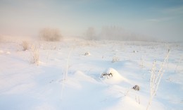 Морозные горизонты / Февральские туманы.