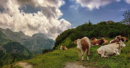 Бодрое утро / Альпы, Берхтесгаден, плато горы Йеннер, Верхняя Бавария.
http://www.youtube.com/watch?v=VtyQ_if5Cr4