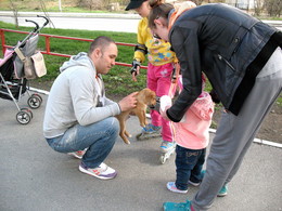 В центре внимания. / В Новосибирске.
