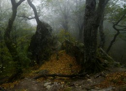 Горными тропами.... / Железноводск. Октябрь.....