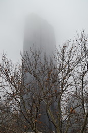 В тумане / Известный небоскреб в Вене DC tower всегда притягивает своим очарованием фотографов. Вот и рождественским зимним утром в тумане он смотрится как то иначе.