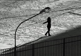 Стрекоза / ***