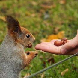Счастье на ладони / * * *