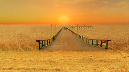 Мост через море пшеницы / Компьютерное манипулирование Мост, проходящим через поле пшеницы