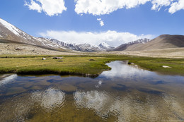 Реки высокогорья / Памир. Таджикистан. 4300м