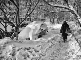 Сугробная жизнь / ***