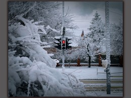 Сугробная жизнь / Сугробная жизнь