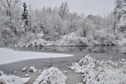 "Черным по белому" / природа