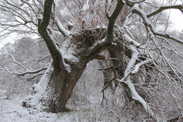 Сломленный. / Суханово.