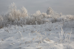 Подморозило / Морозное утро