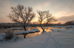 Зимние красавицы. / Река Южный Буг. Украина.