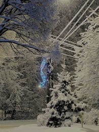 Снежное утро / Фото сделано 31 января 2018 года. Подмосковье