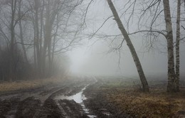 Туманое утро / Зимний путь