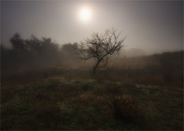 Место под солнцем / Не ищите вы место под солнцем.
Изначально оно вам дано... (© Людмила Щерблюк)