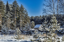 зимняя фоточка XI / Деревня Лесное, 25 февраля 2018 года от Р. Х.