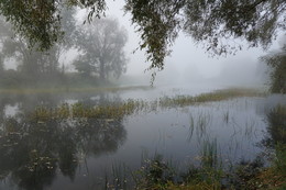 Утро на лесном озере. / Утренний туман на лесном озере.
