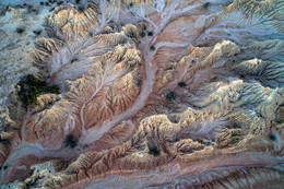 Морщины Земли II / Берега высохшего озера. Дронофотография. Национальный парк Манго, Австралия