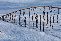 Былинка. / Зима.