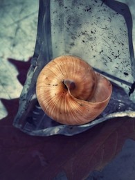 море вокруг / ***