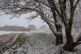 Слякоть. / Суханово.